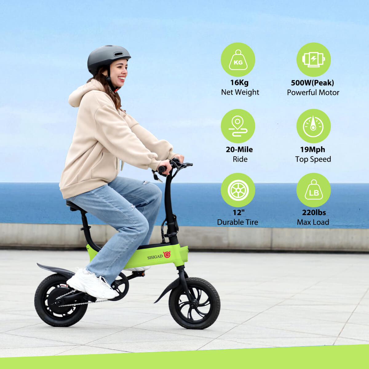 12 Lynx Plus Folding Electric Bike